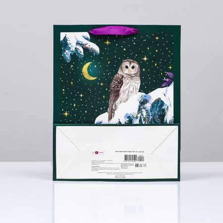 Пакет Sima-Land подарочный «Наблюдательная сова» 26×32×12 см