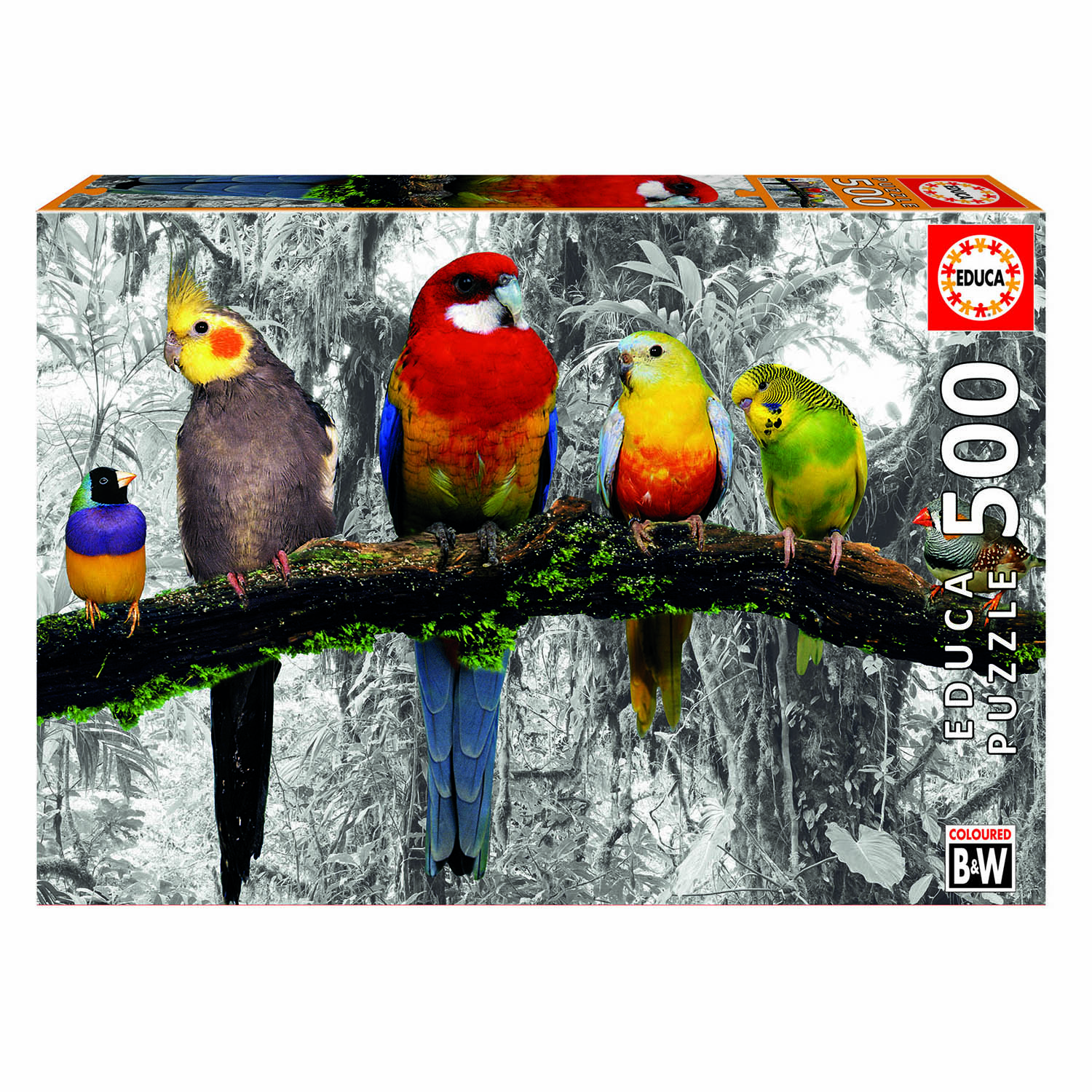 Пазл EDUCA 500 деталей Птицы в джунглях - фото 1