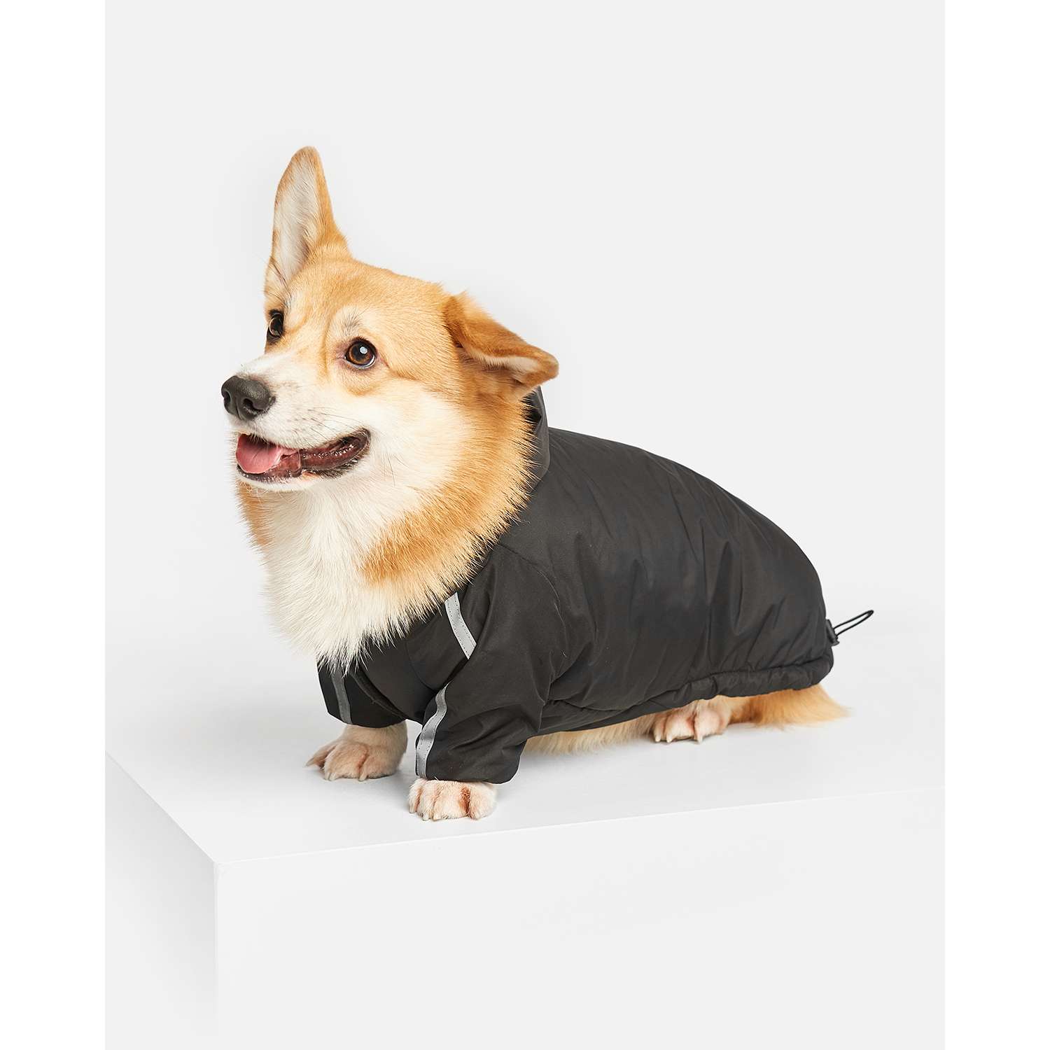 Куртка для собак Зоозавр чёрная 60 - фото 6
