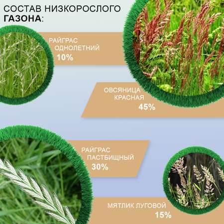 Семена газона Мираторг Низкорослый газон 2 кг