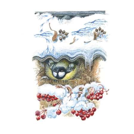 Книга Эксмо Синичкин календарь иллюстрации Белоусовой Марины