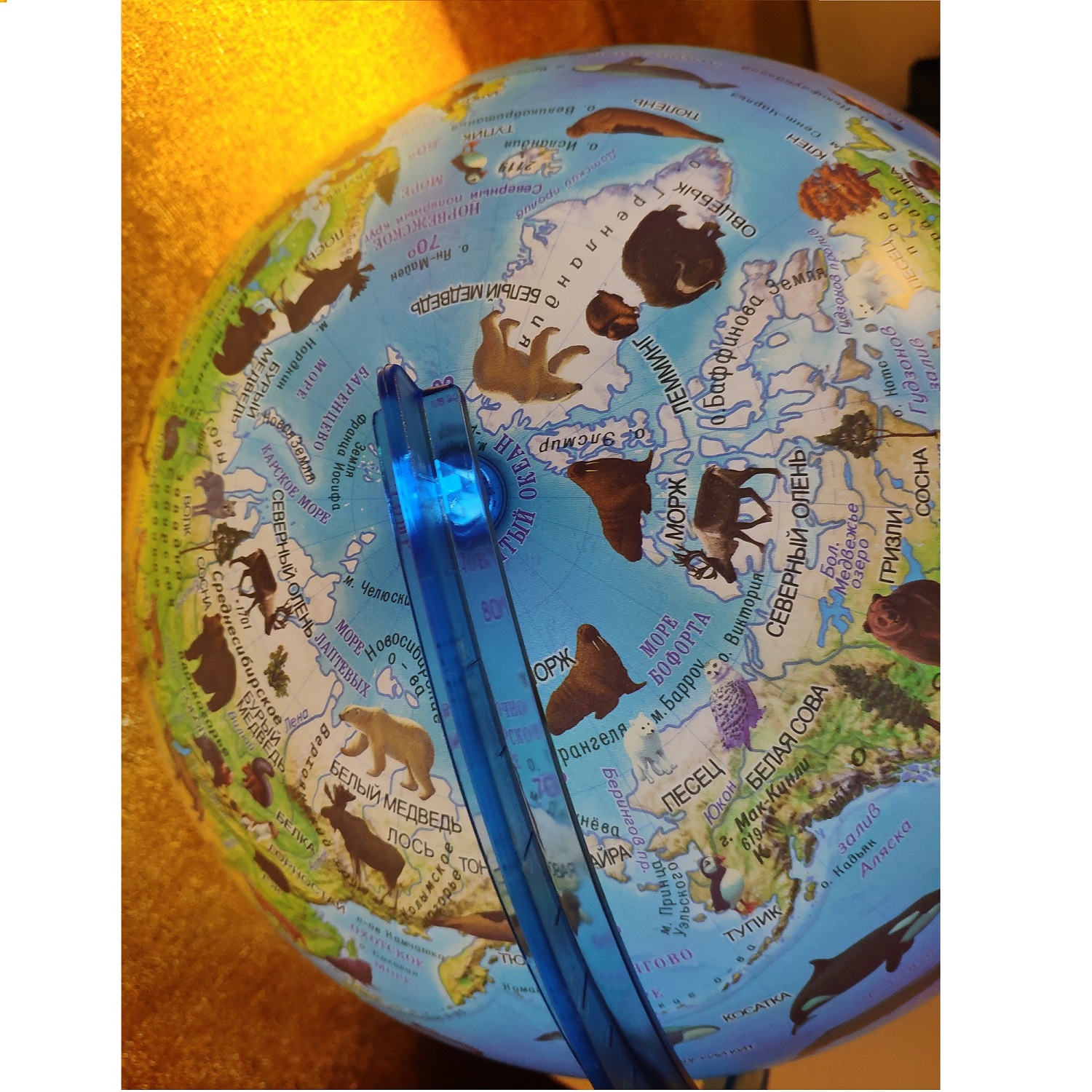 Глобус Globen Зоогеографический детский с LED-подсветкой 21 см - фото 6