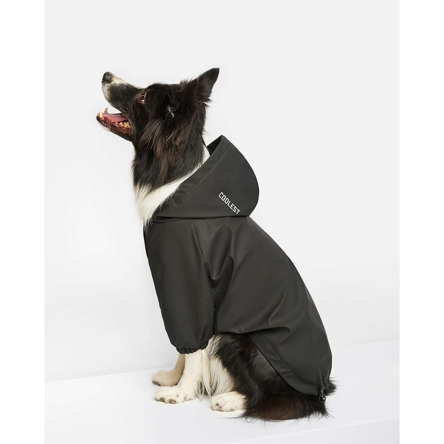 Дождевик-куртка для собак Zoozavr чёрный 55 - фото 8