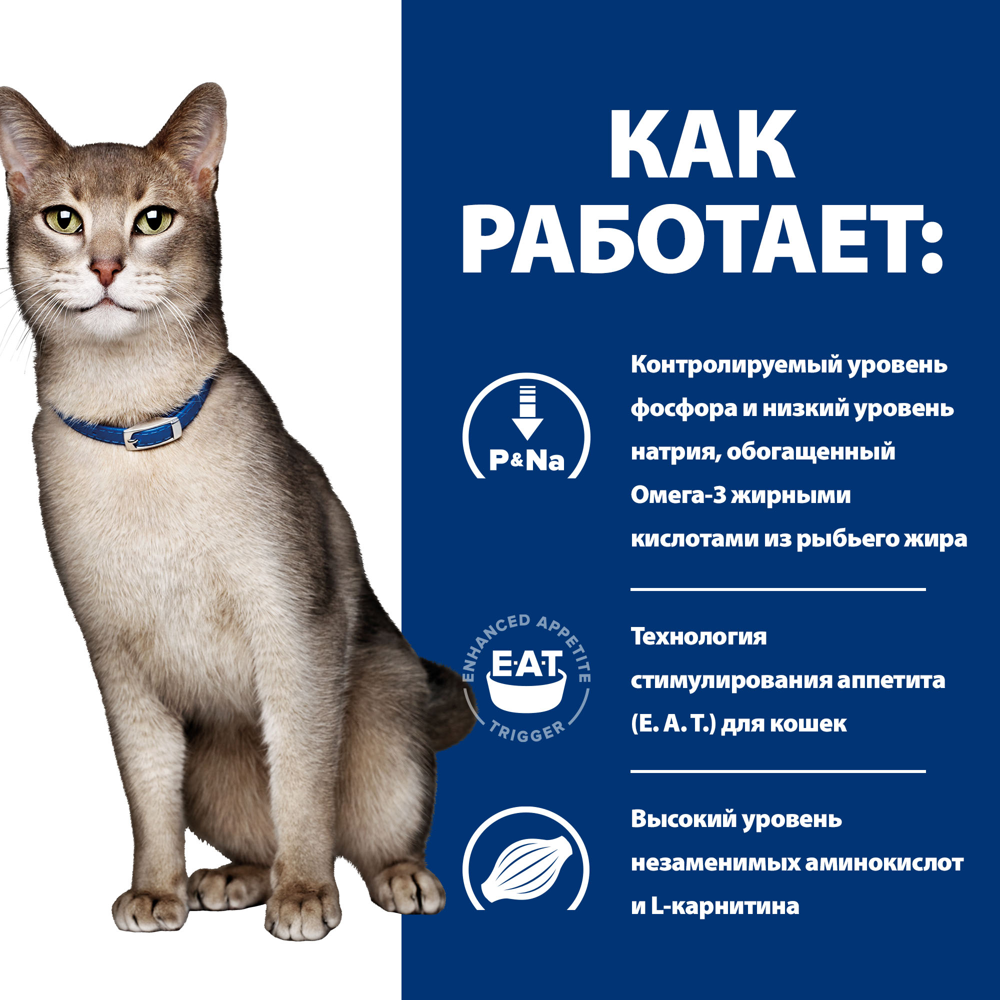 Корм для кошек HILLS 3кг Prescription Diet k/d при хронической болезни почек с курицей сухой - фото 4