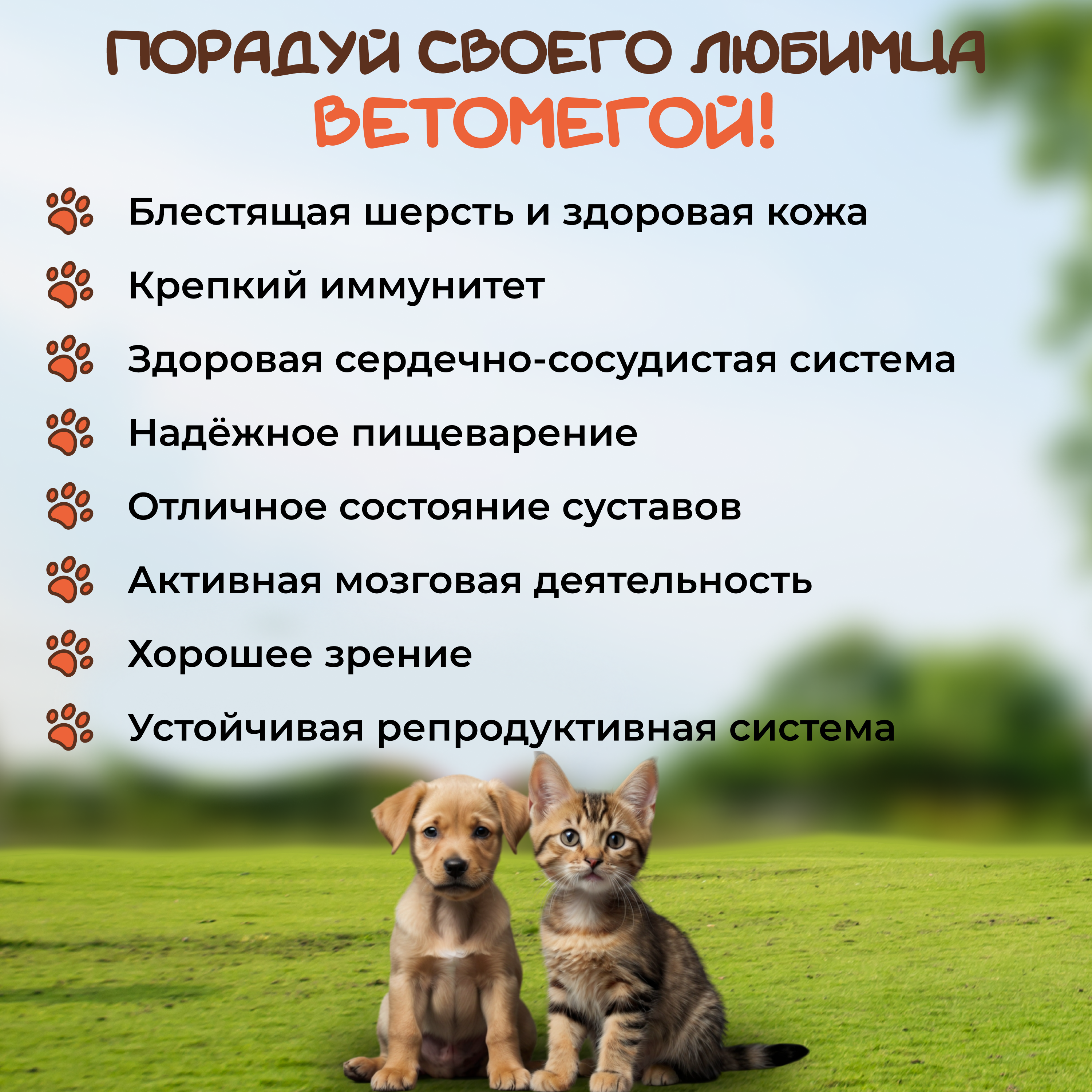 Ветомега Pets health 250 мл - фото 2