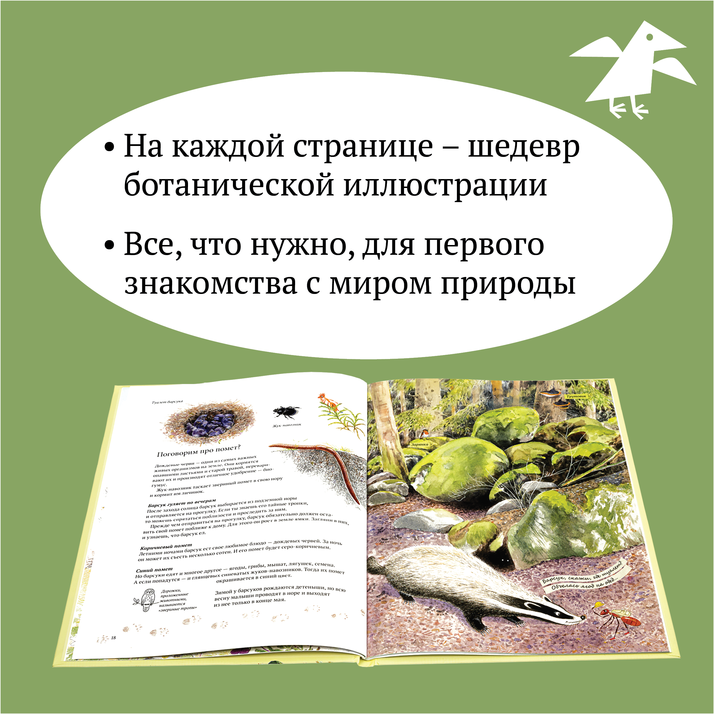 Книга ALBUS CORVUS Экспедиция Софи - фото 3