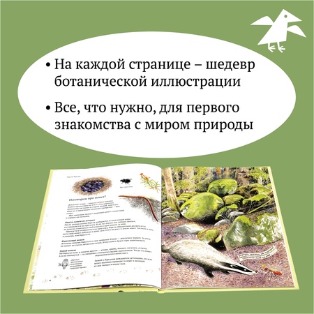 Книга ALBUS CORVUS Экспедиция Софи