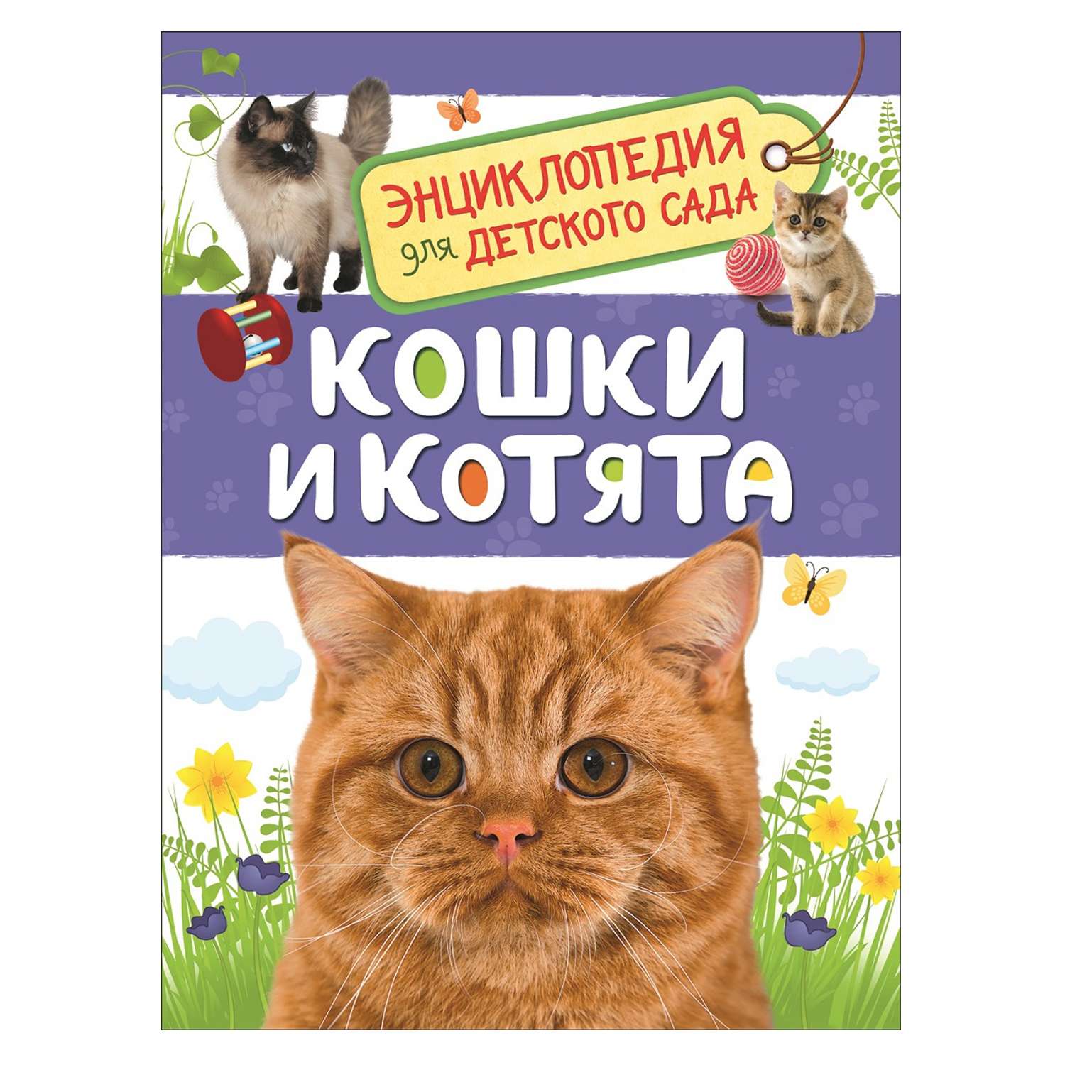 Книга Росмэн Кошки и котята Энциклопедия для детского сада - фото 1