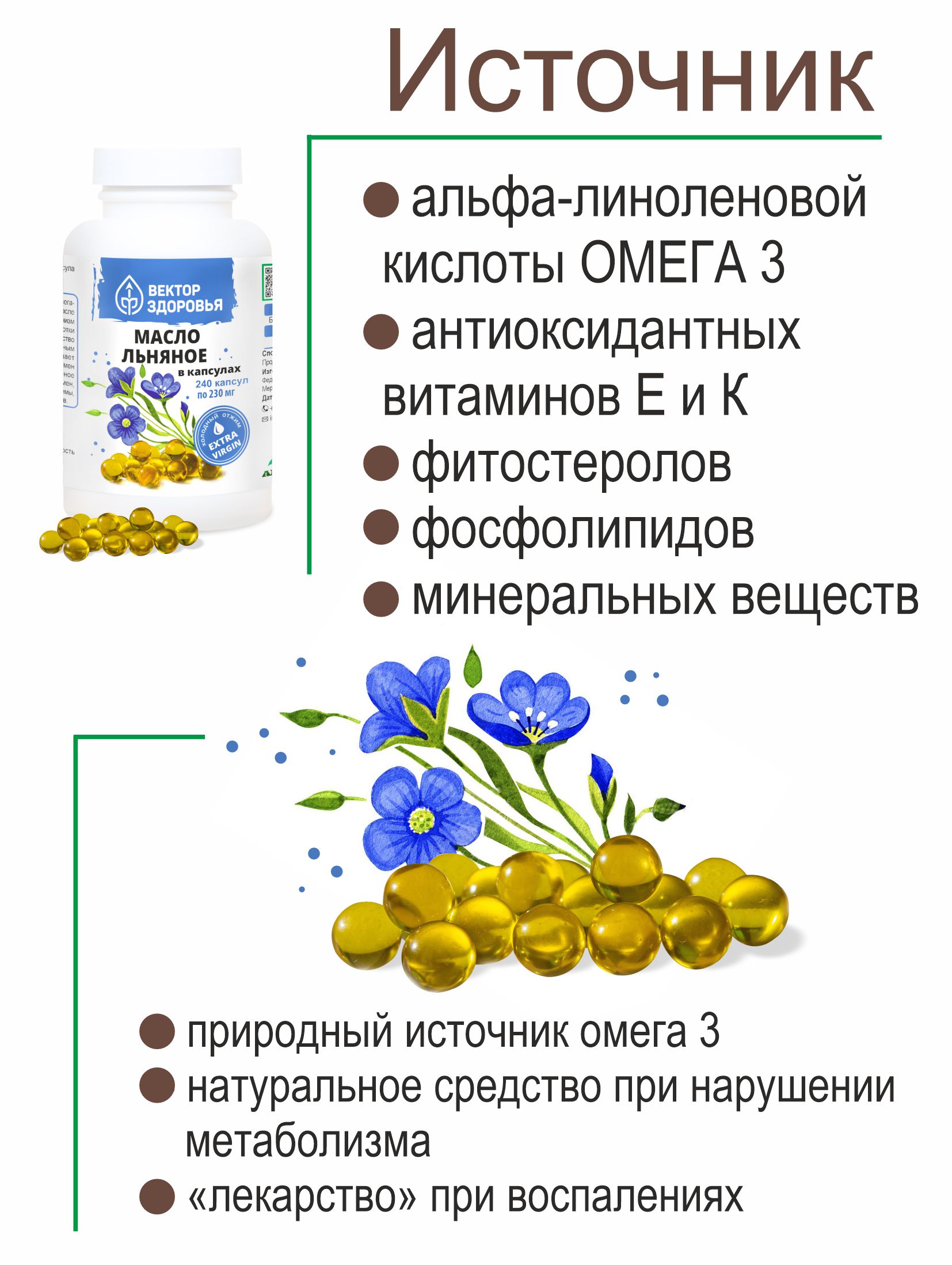 Растительные концентраты Алтайские традиции Масло льняное 240 капсул - фото 5