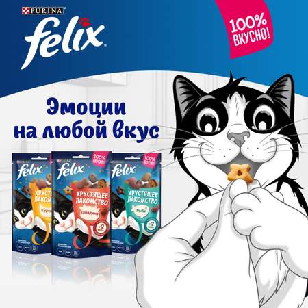 Лакомство для кошек Felix со вкусом сыра сухое 60г