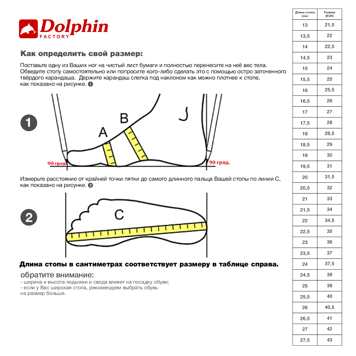 Балетки Dolphin Factory BS-001_белый - фото 7