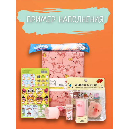 Подарочный бокс для девочки iLikeGift Milota Box mini свинка