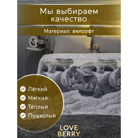 Плед LOVEBERRY 1,5 спальный британцы