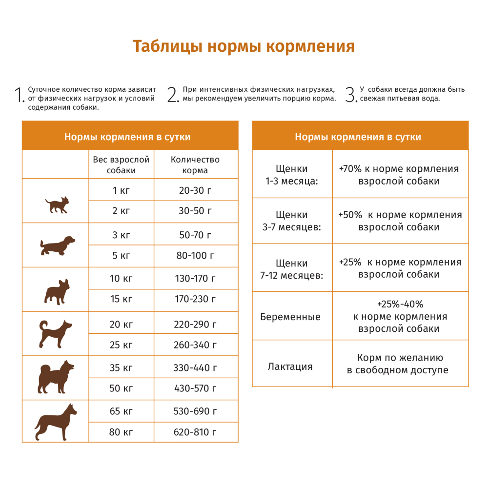 Корм сухой Будь здоров для взрослых собак всех пород с ягненком 10000 гр. мелкая гранула - фото 3