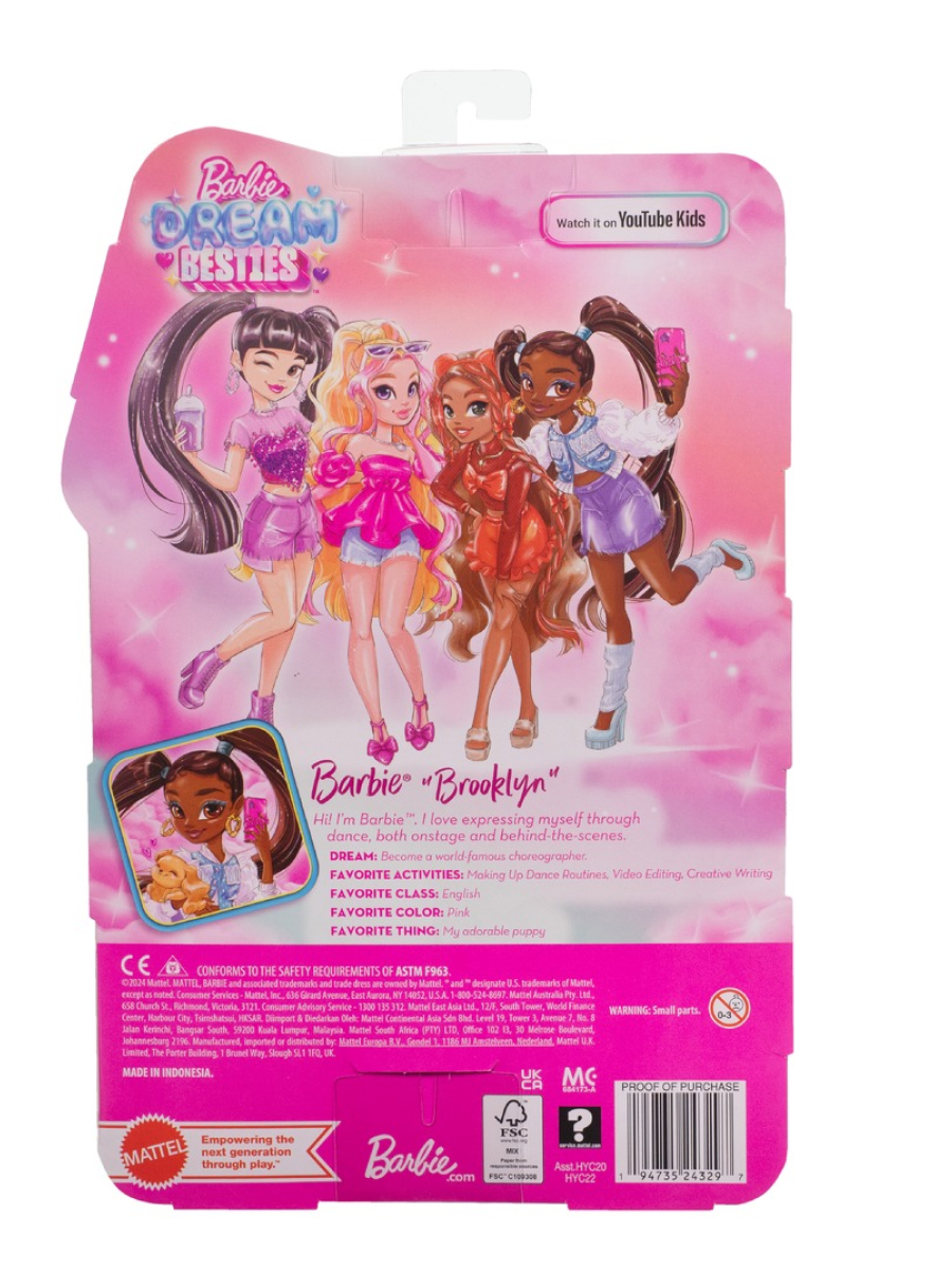 Кукла классическая Barbie Dream Besties HYC22 Бруклин HYC22 - фото 9