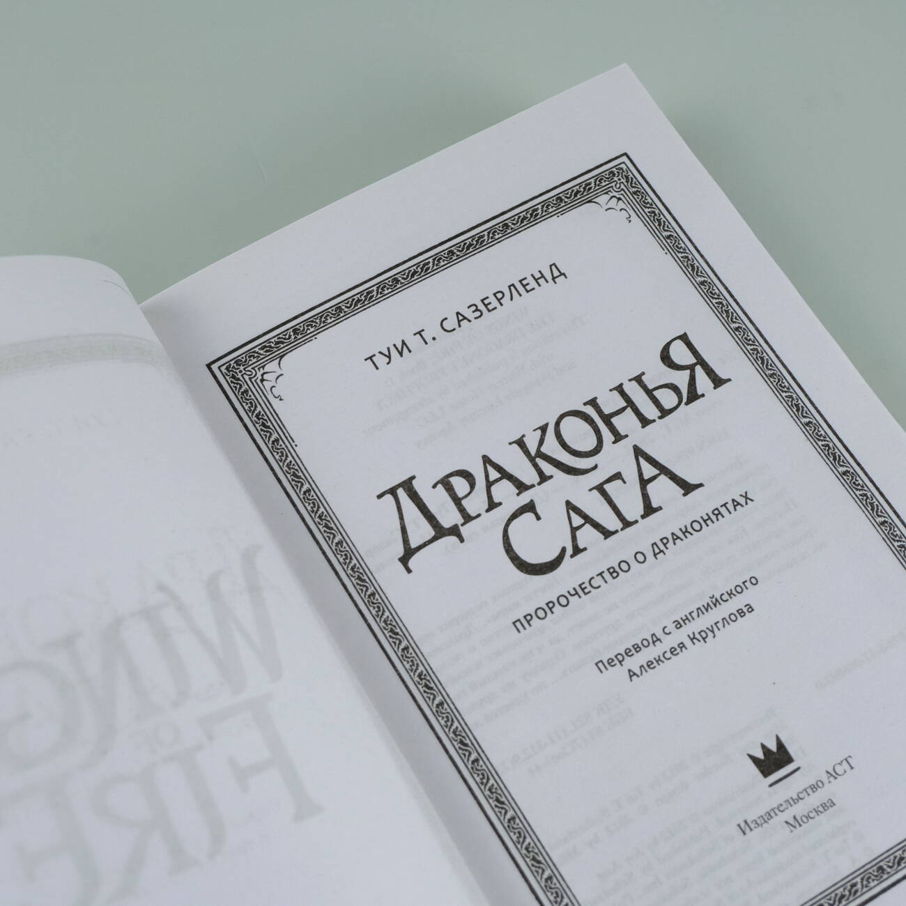 Книга АСТ Драконья сага. Пророчество о драконятах - фото 6