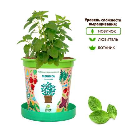 Набор для выращивания Happy Plant Вырасти сам растение в горшочке Мелисса лимонная