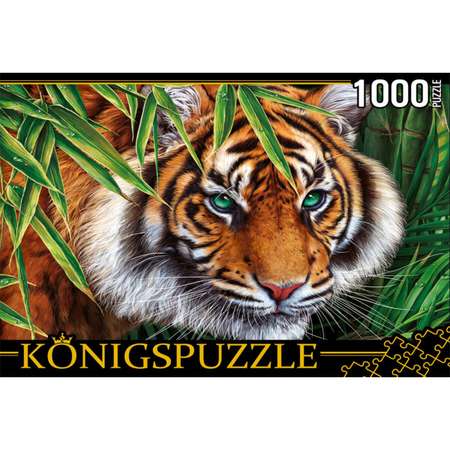 Пазл Рыжий кот Konigspuzzle. 1000 элементов Портрет Тигра