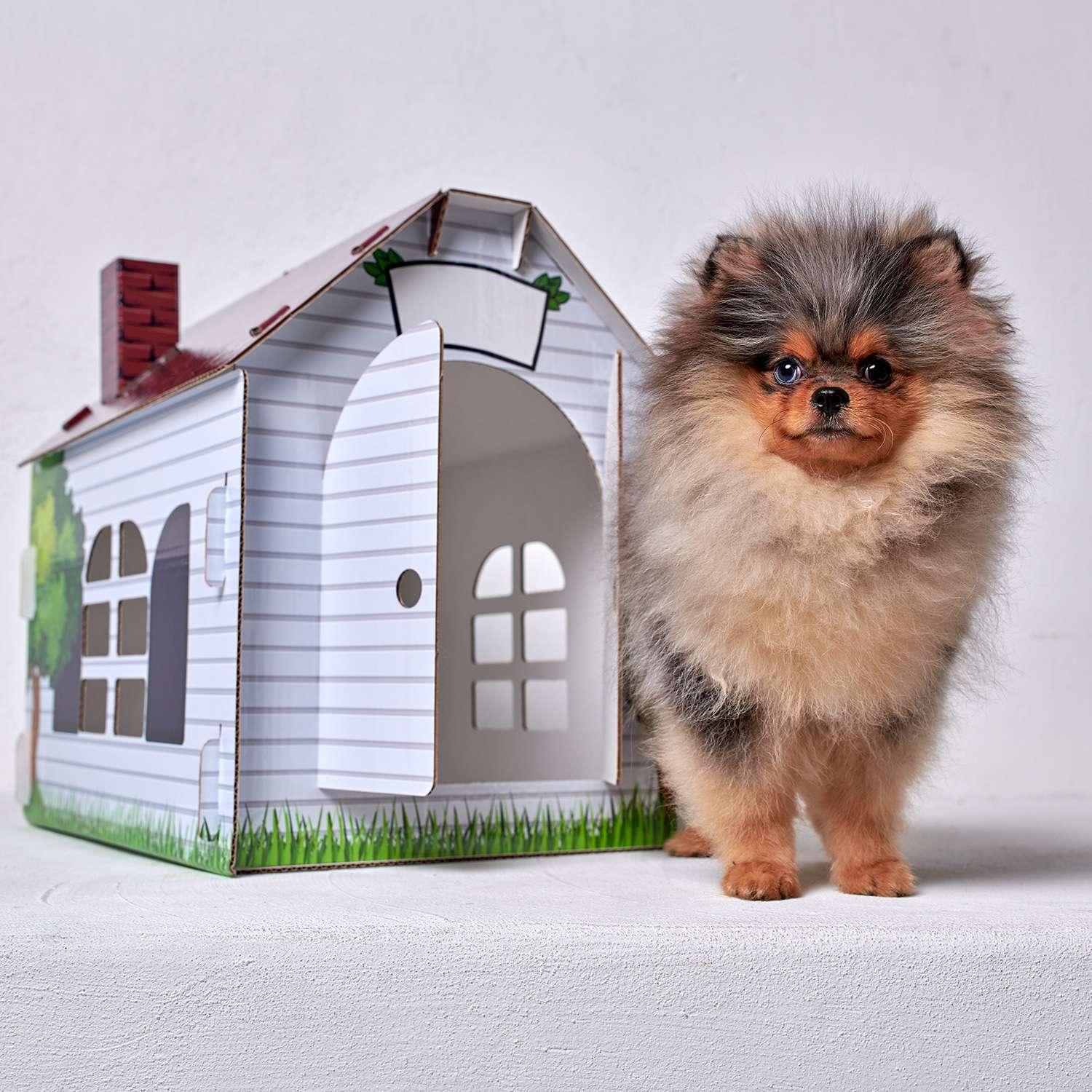 Домик MASKBRO улучшенный картонный для кошек и собак с когтеточкой - фото 2