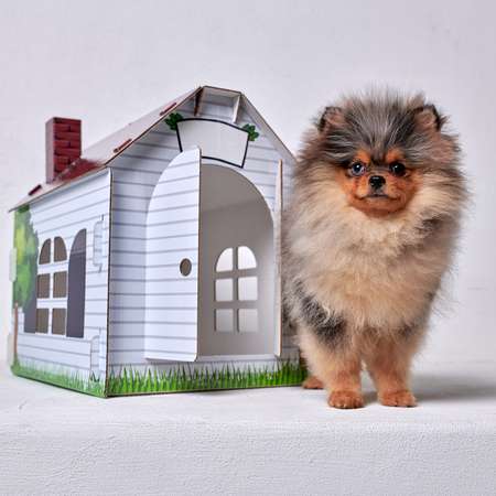 Домик MASKBRO улучшенный картонный для кошек и собак с когтеточкой