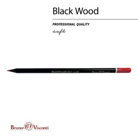 Карандаши цветные Bruno Visconti BlackWoodColor 18 цветов пластиковые