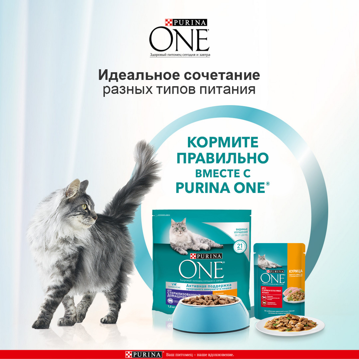 Сухой корм для кошек Purina One 1.5 кг курица (для стерилизованных и кастрированных, полнорационный) - фото 5