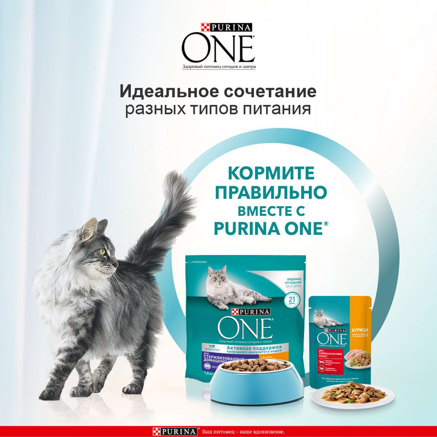 Корм для кошек Purina One стерилизованных курица-цельные злаки 1.5кг - фото 5