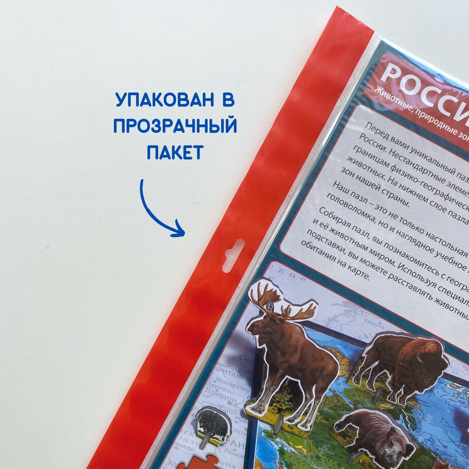 Карта-пазл георафический АГТ Геоцентр Животные и Природные Зоны России 67 деталей 34х46 см - фото 5