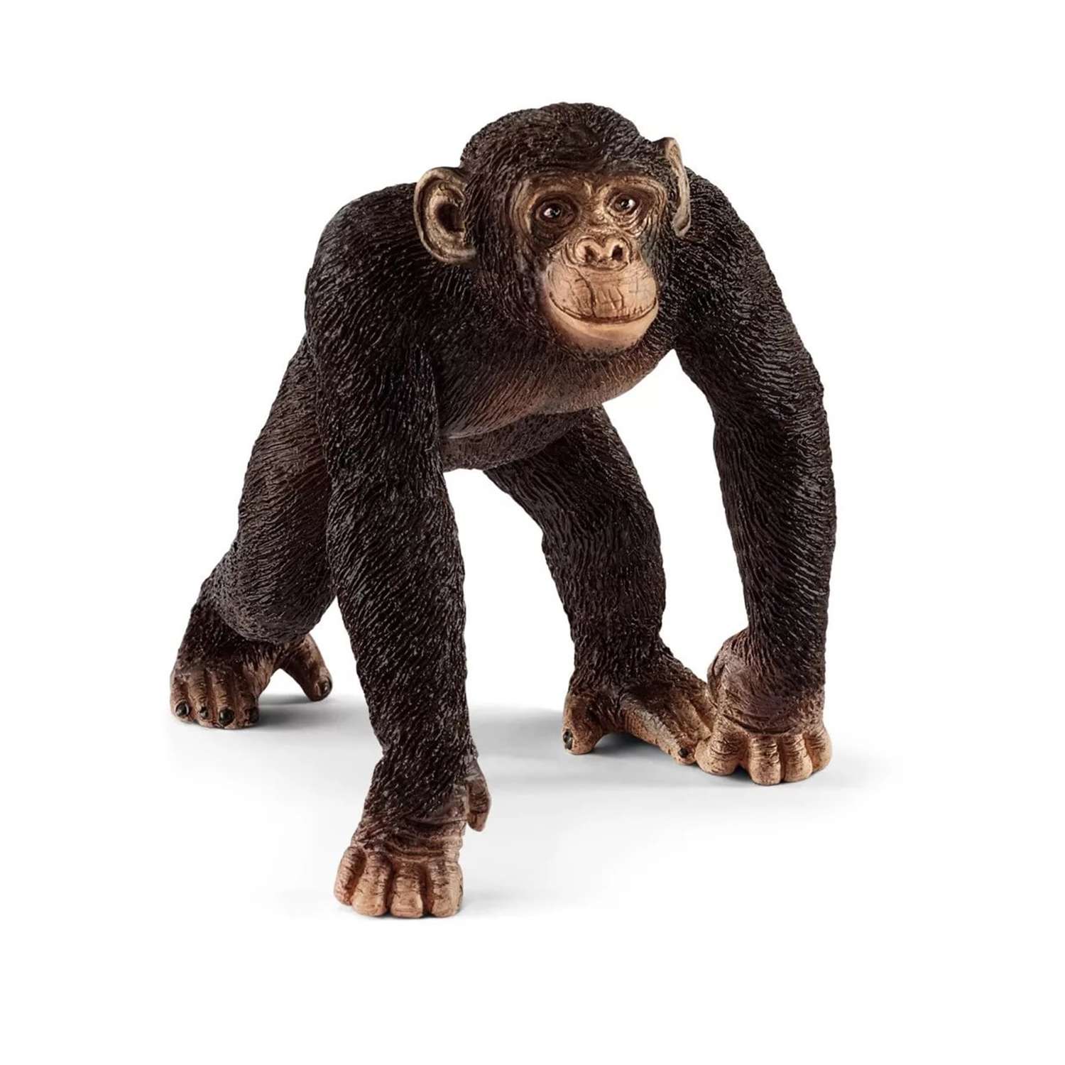 Фигурка SCHLEICH Шимпанзе самец 14817 - фото 1