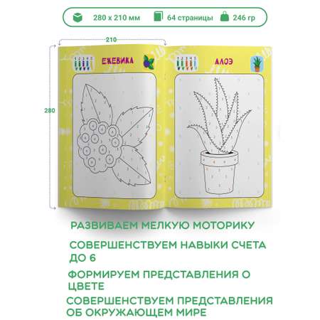 Раскраска по номерам Харвест комплект из 2 шт растения и овощи фрукты ягоды