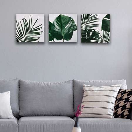 Комплект картин на холсте LOFTime Тропические растения 3 30*30