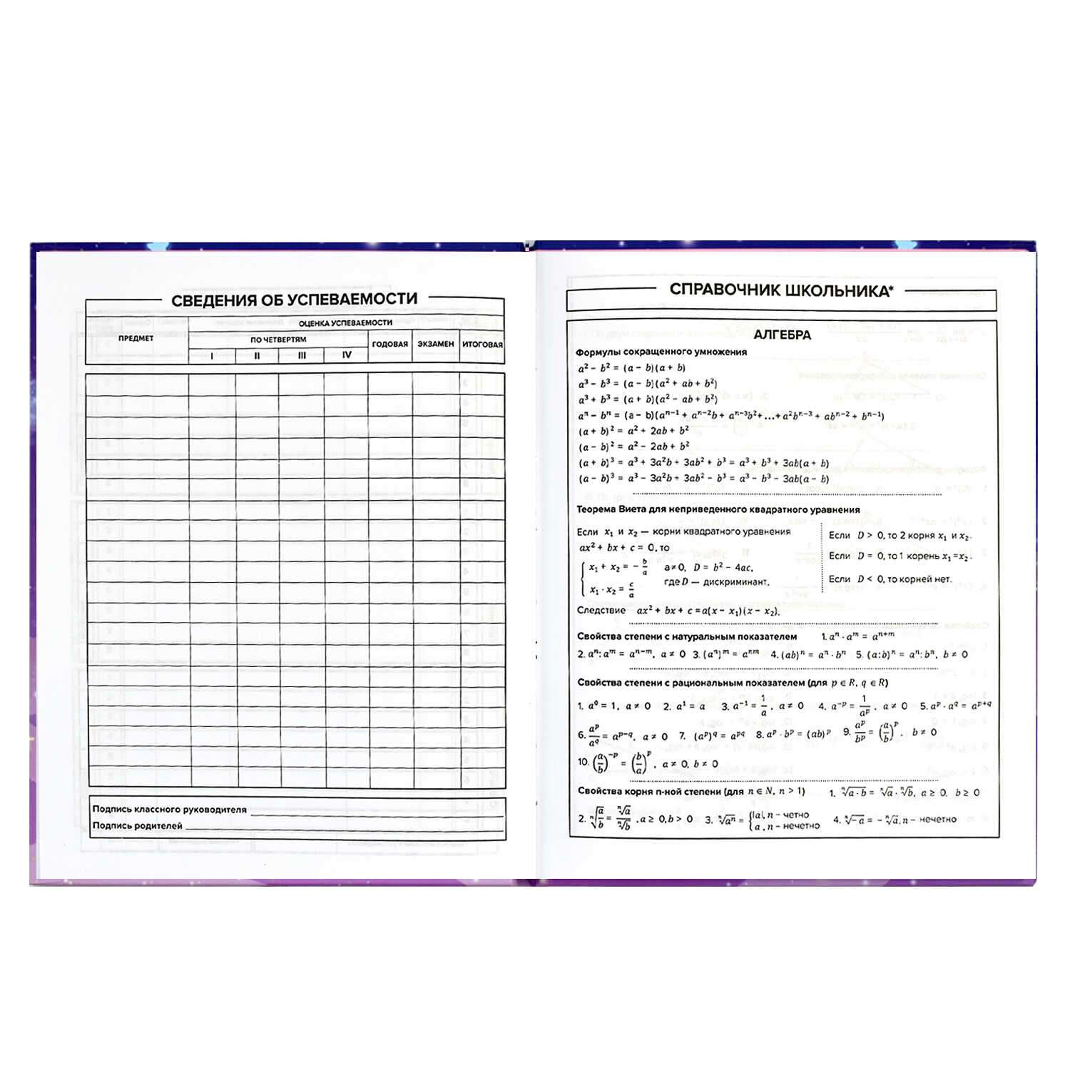 Дневник школьный ТД Феникс Звездный час 48 листов твёрдый переплёт - фото 9