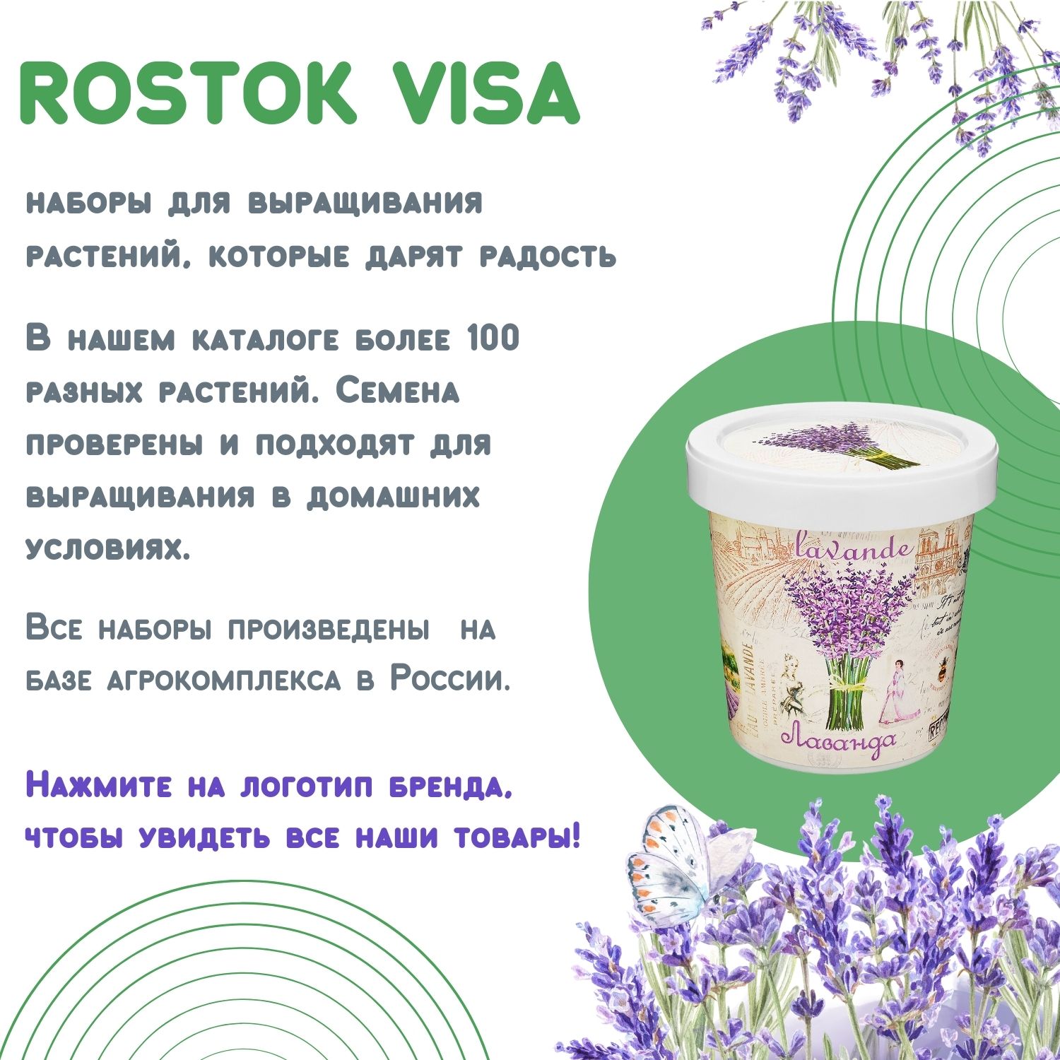 Набор для выращивания Rostok Visa Малина - фото 7