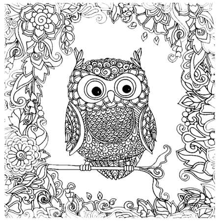 Раскраска-антистресс Bourgeois Owls - Совы 1746