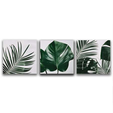 Комплект картин на холсте LOFTime Тропические растения 3 30*30