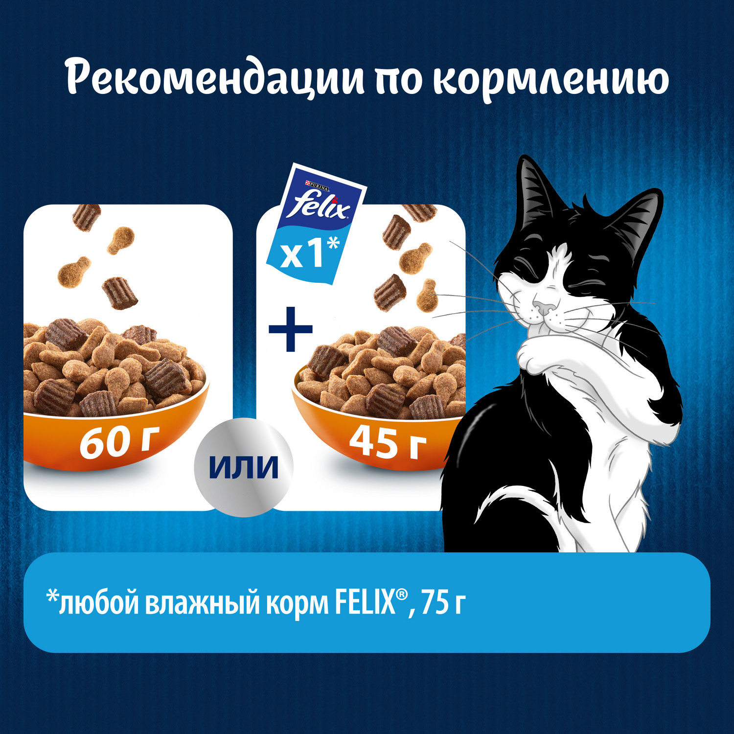 Корм для кошек Felix Мясное объедение сухой с курицей 200г - фото 8