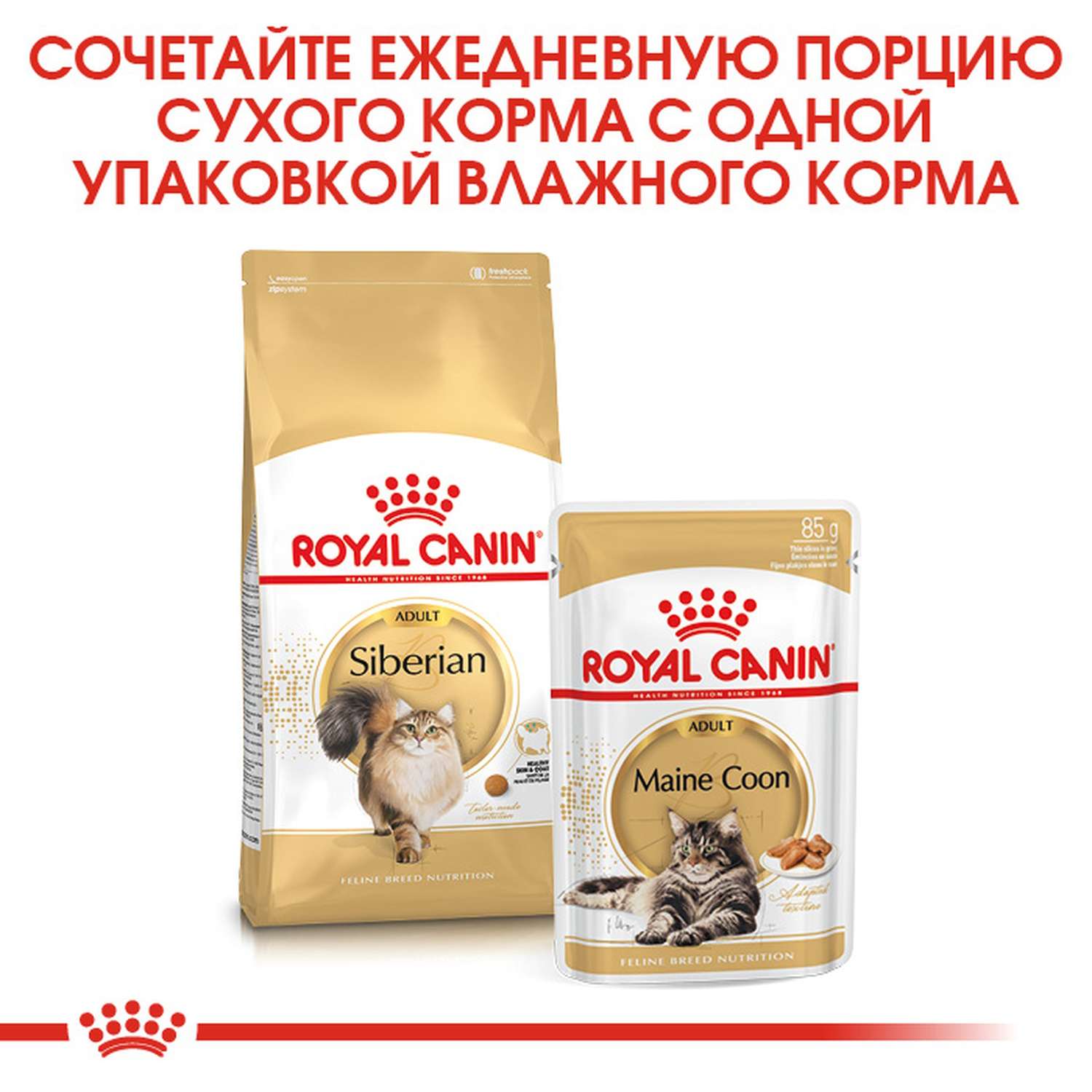 Корм сухой для кошек ROYAL CANIN Siberian 2кг сибирских пород - фото 8