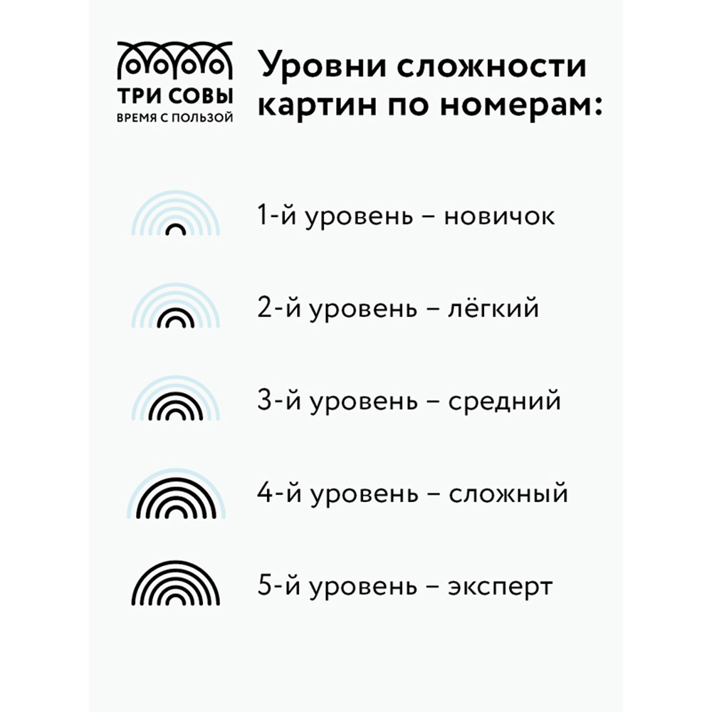 Картина по номерам ТРИ СОВЫ на картоне Игра в неоне 30*40 с акриловыми красками и кистями - фото 5