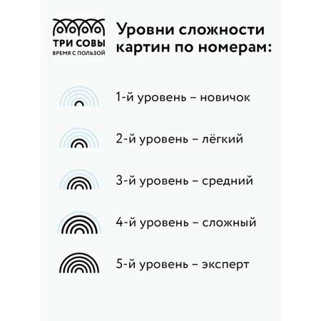 Картина по номерам ТРИ СОВЫ на картоне Игра в неоне 30*40 с акриловыми красками и кистями