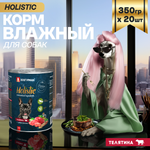 Корм влажный Зоогурман Holistic Телятина с зеленой фасолью, для собак, 350 г х 20 шт.