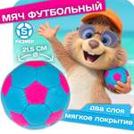 Футбольный мяч 5 размер 1TOY мягкое покрытие пляжный голубой с розовым