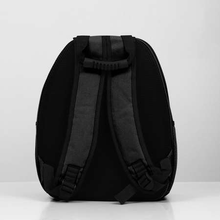 Рюкзак для переноски Пижон с окном для обзора черный