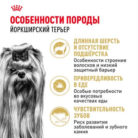 Сухой корм для собак ROYAL CANIN 0.5 кг (полнорационный)