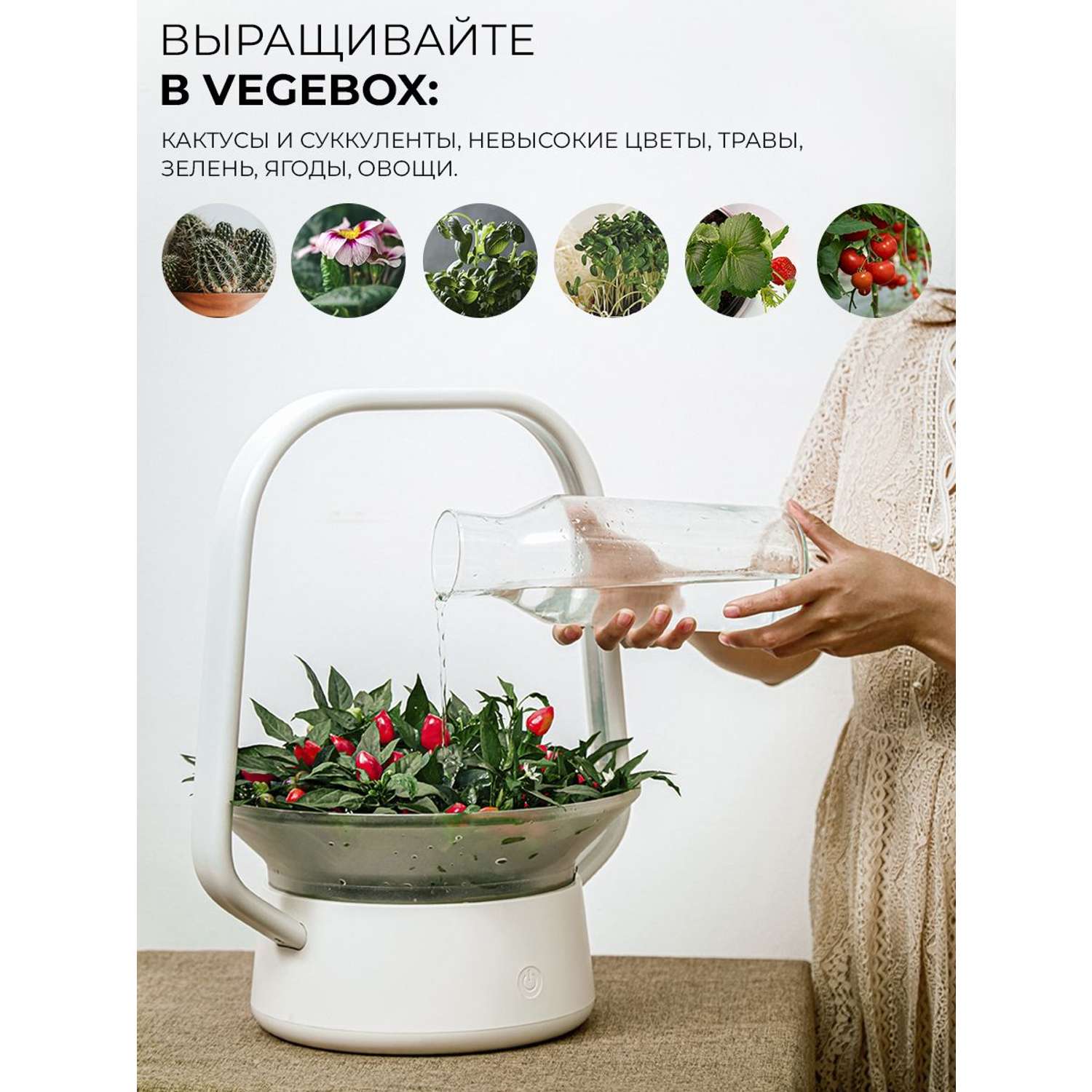 Умный горшок для растений VegeBox с фитолампой V-Basket для выращивания цветов и зелени в грунте и гидропонике - фото 11