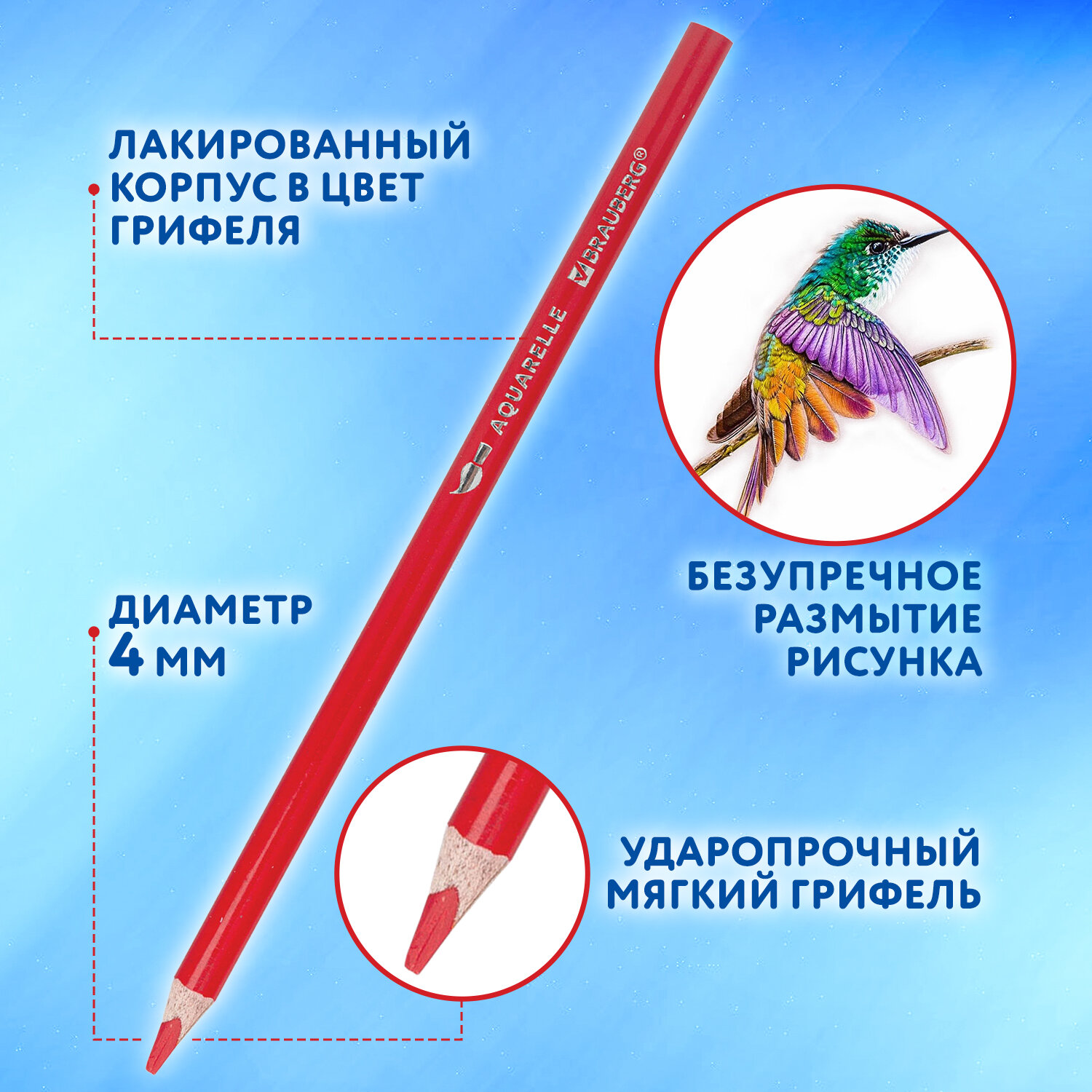 Карандаши цветные Brauberg акварельные для рисования 36 цветов трёхгранные - фото 4