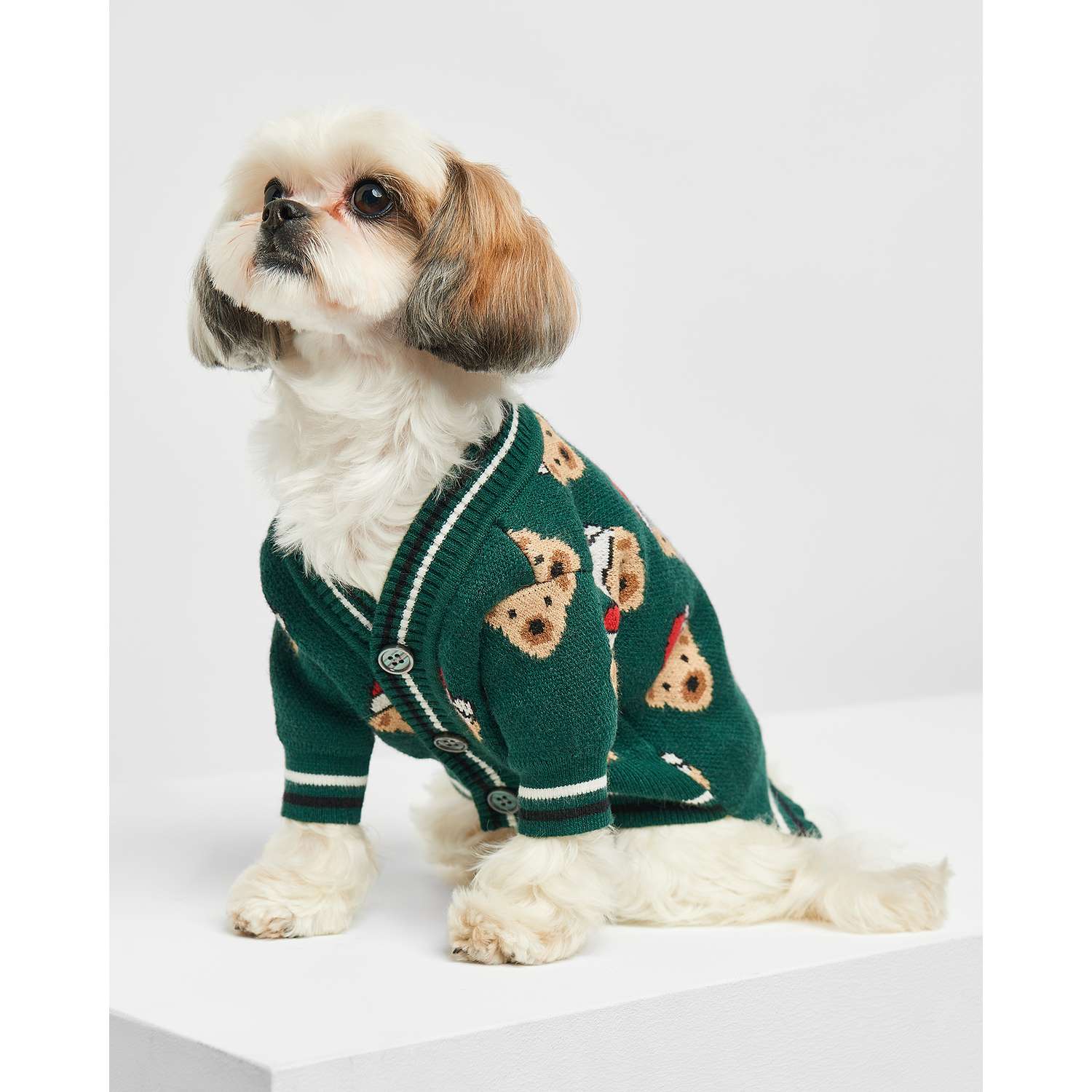 Стильные свитера для собак: топ-10 идей