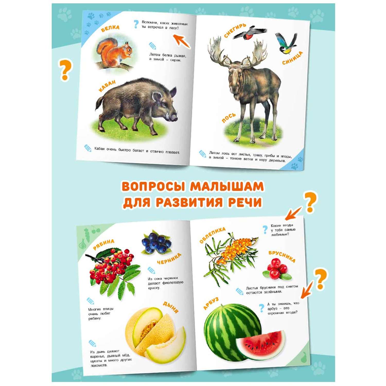 Энциклопедии Фламинго для детей и малышей Познавательные книги для раннего развития 3 шт. - фото 4