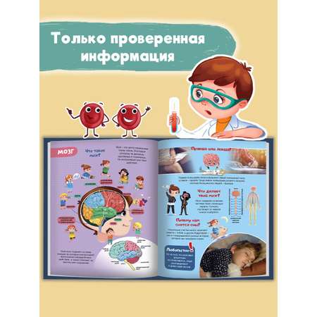 Книга Проф-Пресс Интересные факты о теле человека