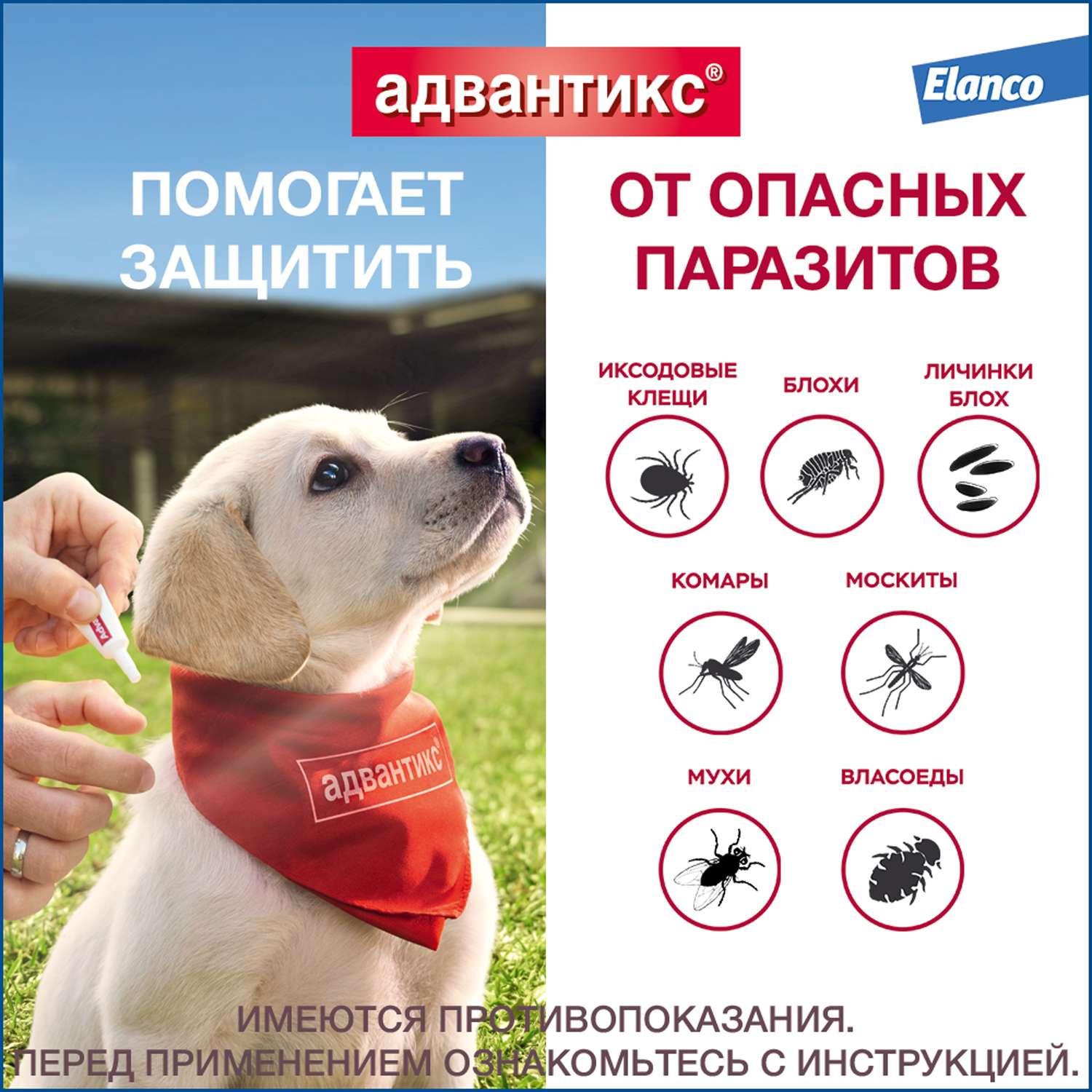 Препарат инсектоакарицидный для собак Elanco Адвантикс 2.5мл 4пипетки - фото 3