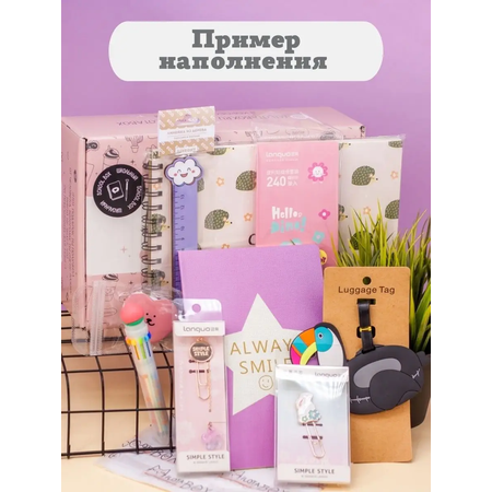 Подарочный бокс для девочки iLikeGift школа